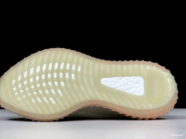 Form EG7492 Yeezy True V2 Boost 350 Adidas 1004